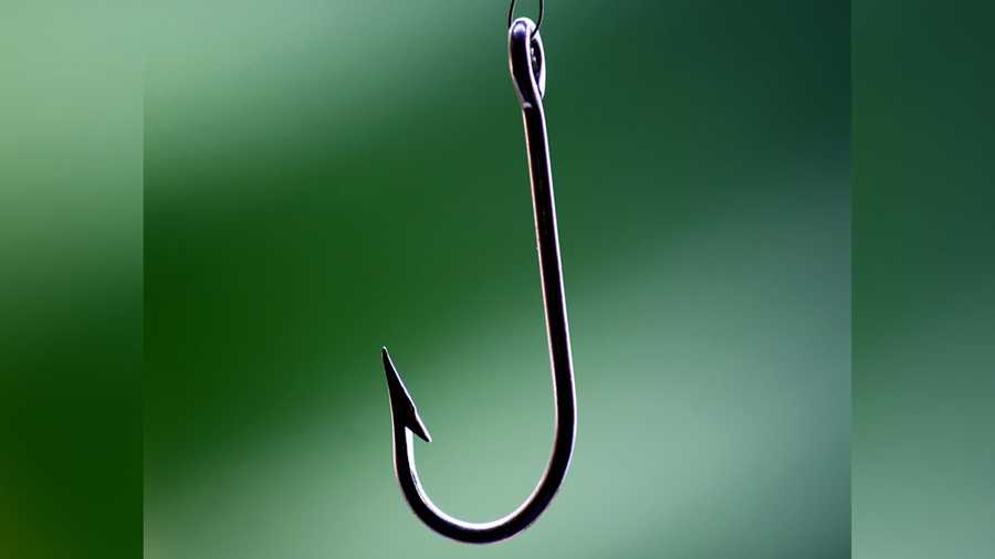 A fish hook