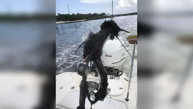 Lightning strikes boat in Jupiter, fishing pole disintegrates