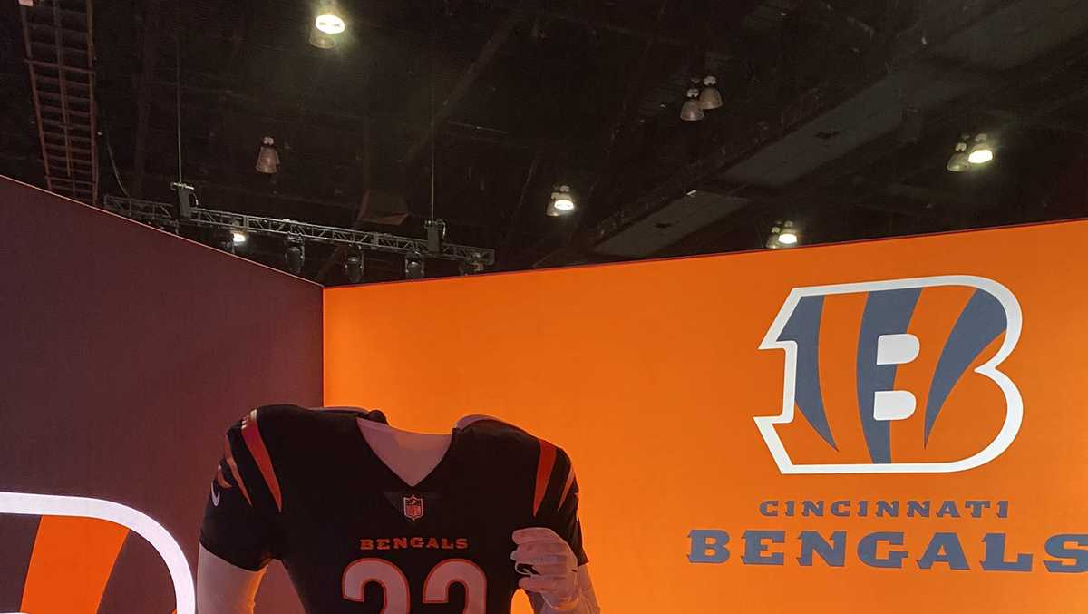 Photos: Bengals fans flock to NFL Super Bowl Experience in LA