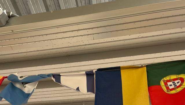 Ripped Israeli flag discovered at elementary school in Wellington - Vimarsana News