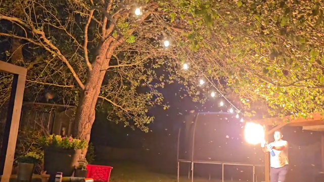 Louisiana termite swarms flamethrower video