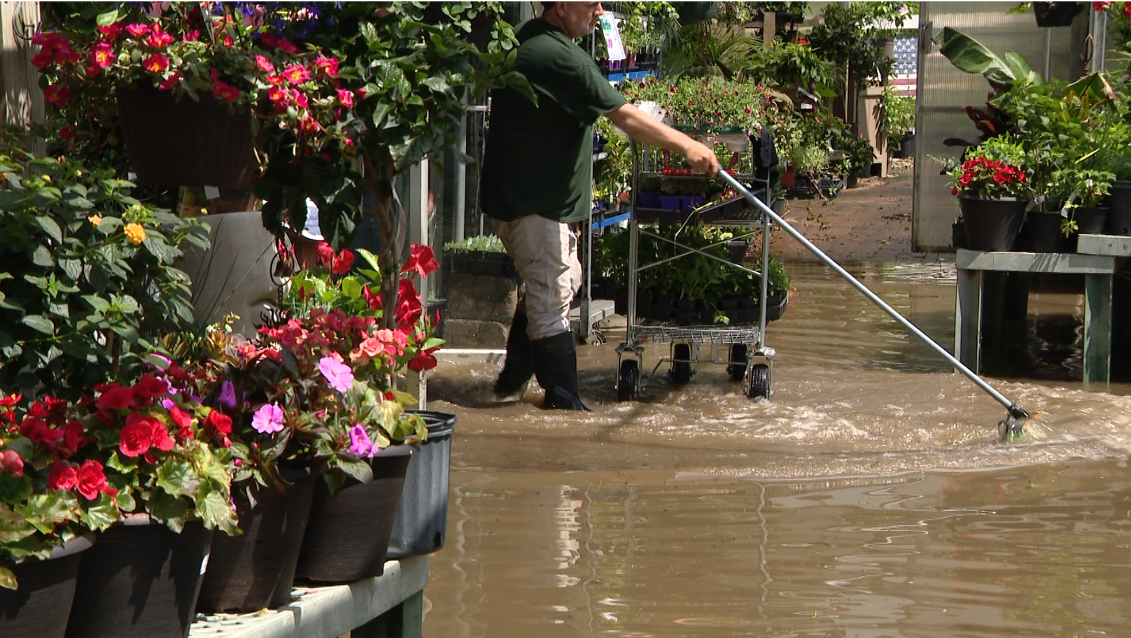 Best Feeds Garden Center at North Park closed after flooding - Vimarsana News