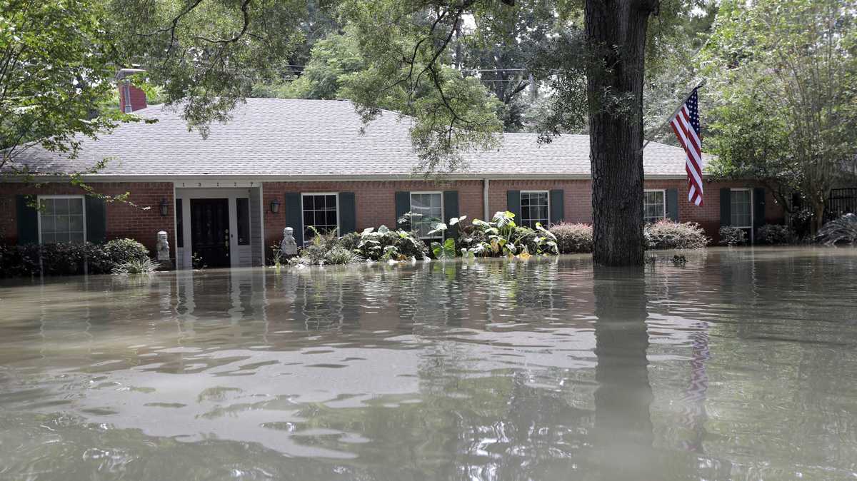 Report: Thieves loot elderly woman's flooded home with her body still ...