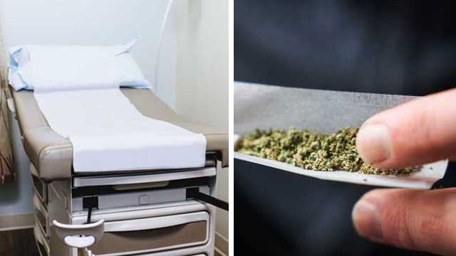 Florida voters to decide on abortion rights, marijuana - Vimarsana News