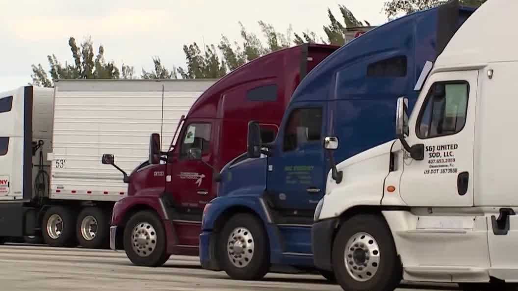 Florida, federal lawmakers push for stricter truck driver standards after deadly turnpike crash