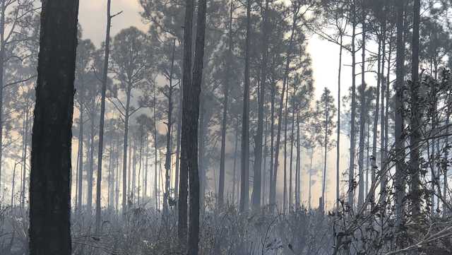 Florida crews warn of smoke, as they assess brush fire - Vimarsana News