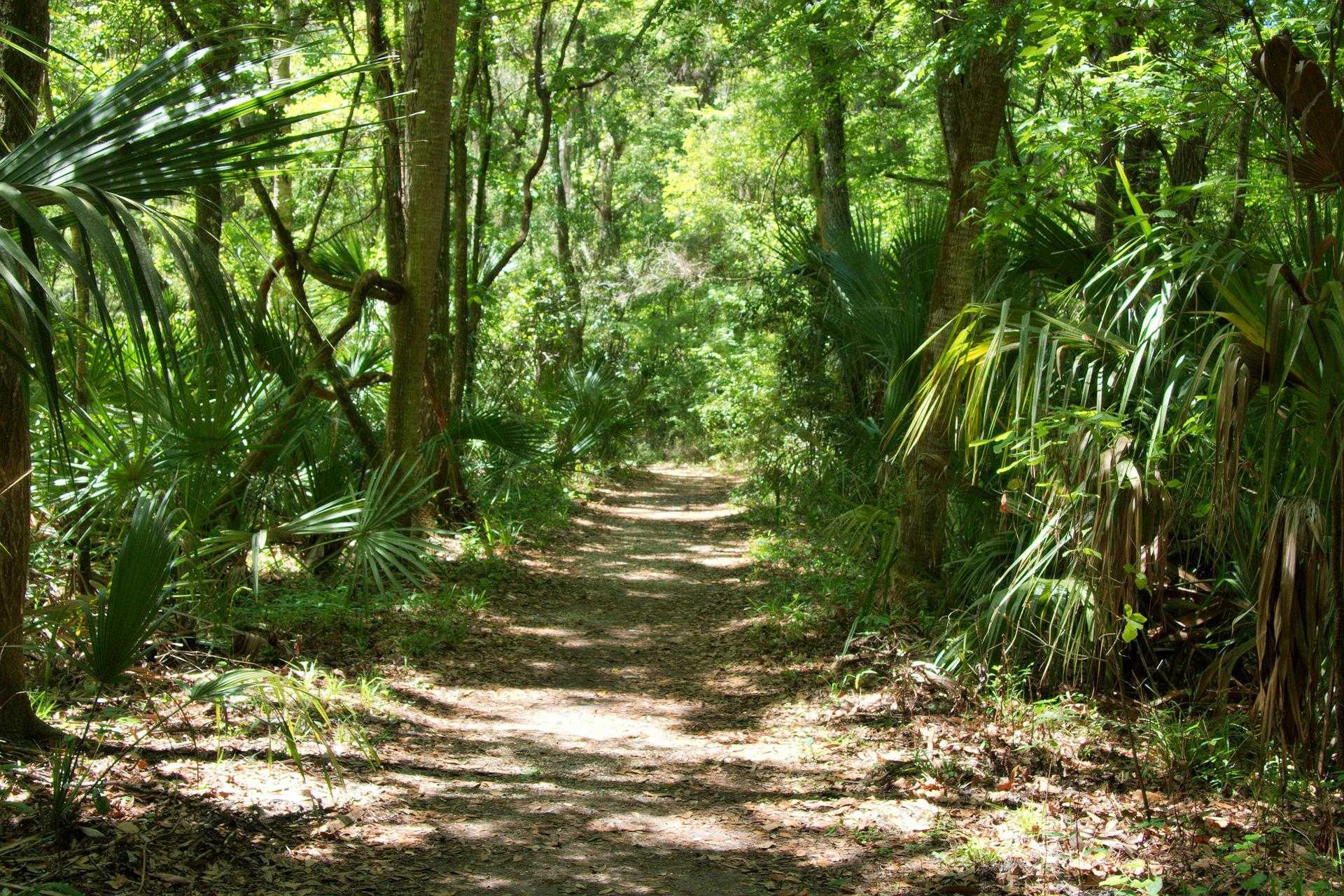 Florida state parks to waive admission fees for Independence Day weekend in 2026