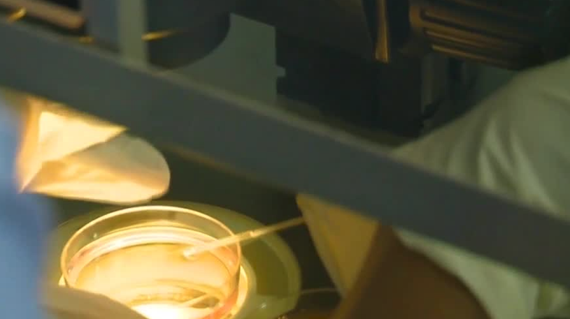 IVF in Florida: Bill stalls amid Alabama embryo ruling - Vimarsana News