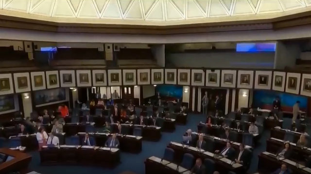 Florida bill would ban use of preferred pronouns at some jobs - Vimarsana News