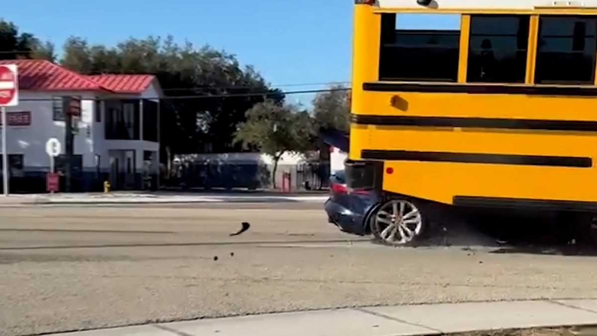 Shocking video: Car slams into back of Florida school bus, gets lodged underneath