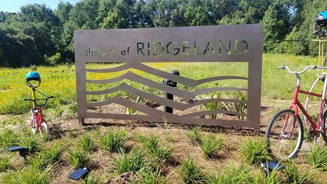 Ridgeland Wildflower Field A Fun Place For People To Enjoy Nature