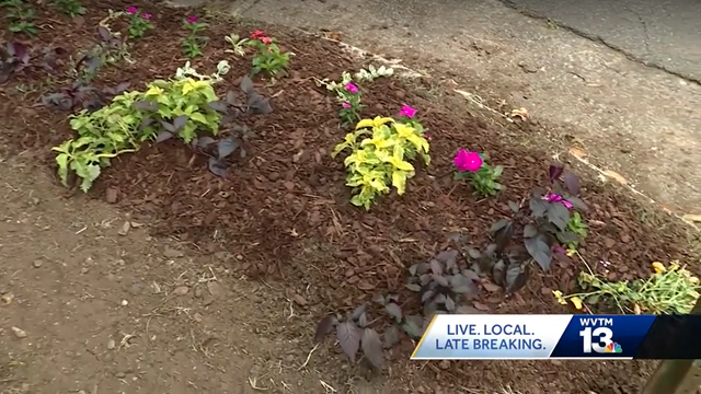 Mountain Brook man working to beautify Birmingham roadways - Vimarsana News