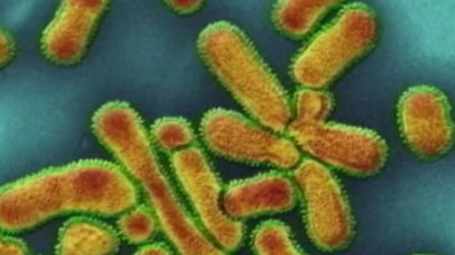 New Mexico reports first flu case of the season - KOAT New Mexico