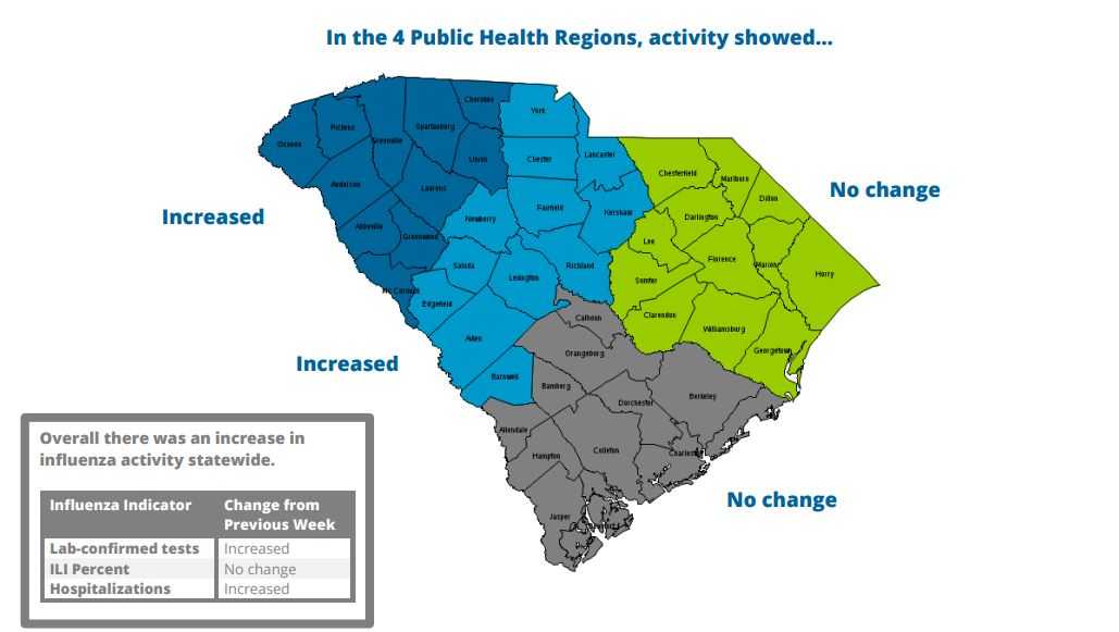 3 flu-related deaths reported in Upstate this flu season, DHEC says - WYFF4 Greenville thumbnail