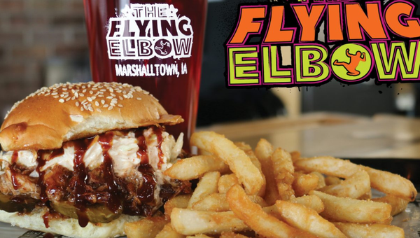 pulled pork sandwich and fries at the flying elbow in marshalltown.