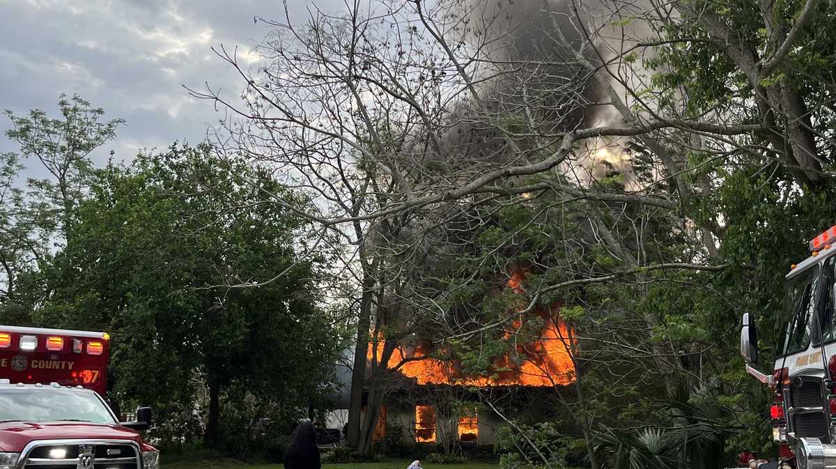 cheshire cat clinic oakland fire