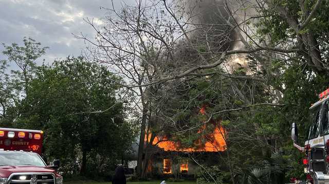 Orange County house fire leaves 9 cats dead - Vimarsana News