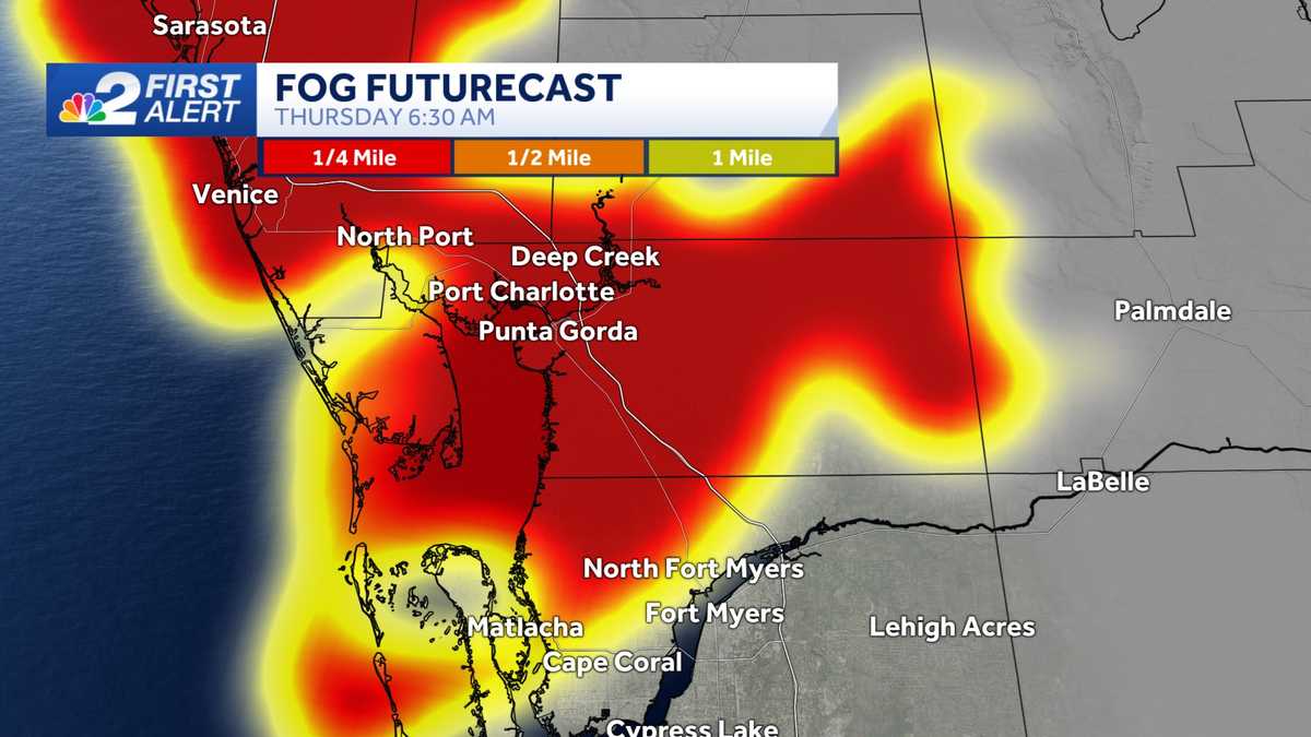 Fog expected across the Gulf Coast on Thursday morning