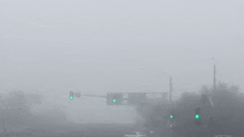 fog skylons