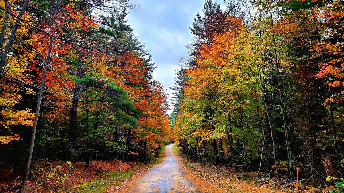 PHOTOS Fall foliage reaches peak in Vermont, northern New York