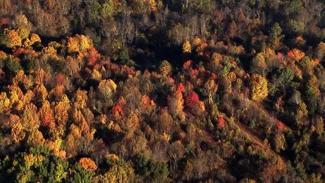Pa. fall foliage: Some parts of Pennsylvania peaking in color - Vimarsana News