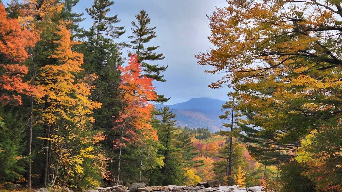 Beautiful New England foliage views