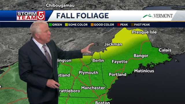 New England foliage forecast: Early colors appearing up north - Vimarsana News