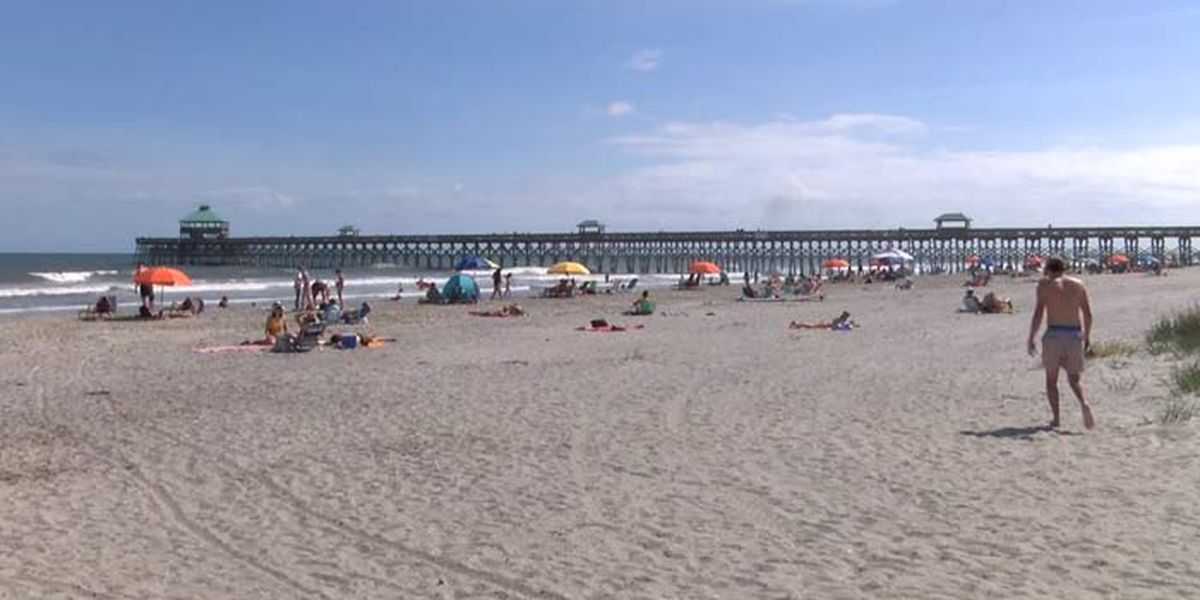 Young Surfer Bitten By Shark Off South Carolina Beach, Officials Say