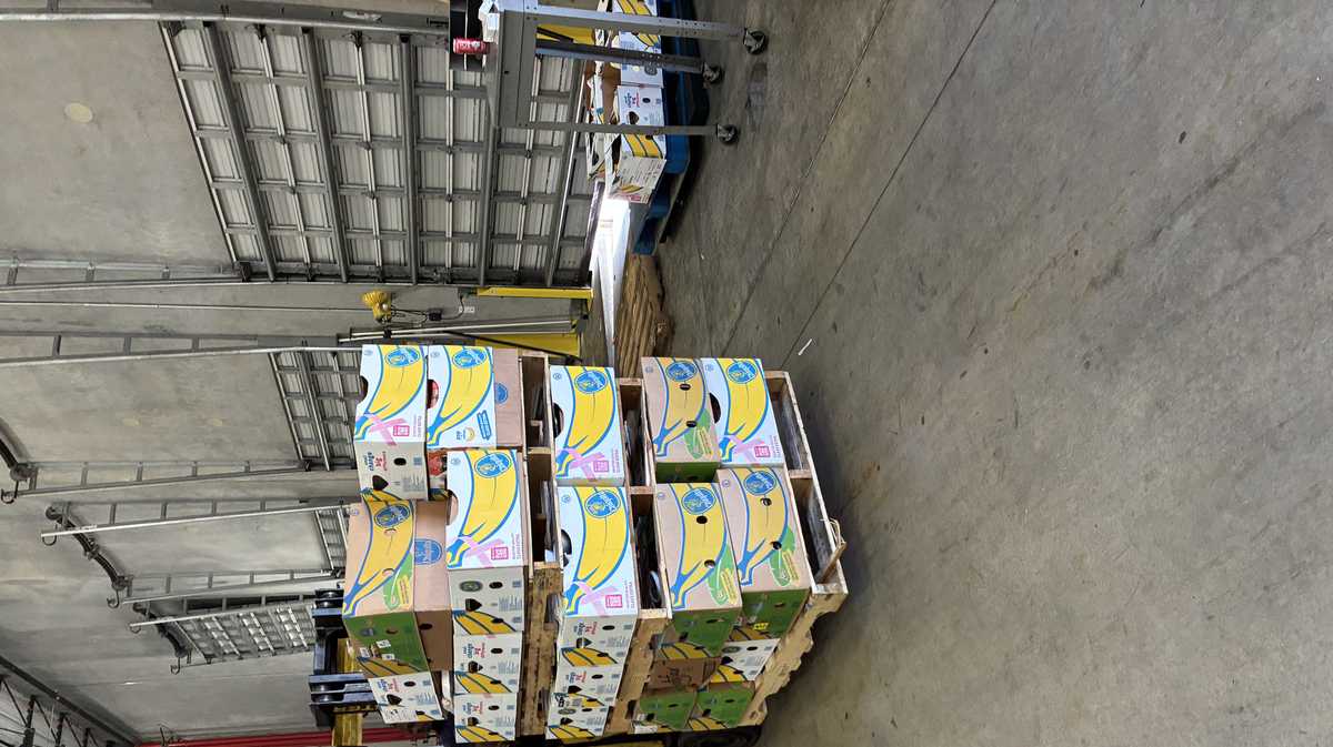 Food Banks Warn of Nationwide Crisis Amid SNAP Benefit Uncertainty