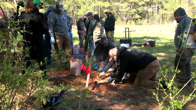 Investigators comb through a Mississippi farm field looking for bodies during forensic training - Vimarsana News