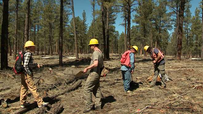 a&#x20;u.s.&#x20;forest&#x20;service&#x20;forest&#x20;inventory&#x20;and&#x20;analysis&#x20;crew&#x20;conducting&#x20;a&#x20;forest&#x20;census&#x20;on&#x20;a&#x20;plot&#x20;inside&#x20;the&#x20;cibola&#x20;national&#x20;forest&#x20;in&#x20;new&#x20;mexico