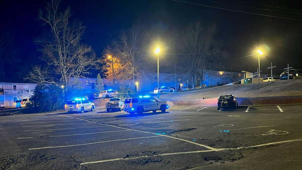 Two teenagers killed in targeted shooting in Forestdale