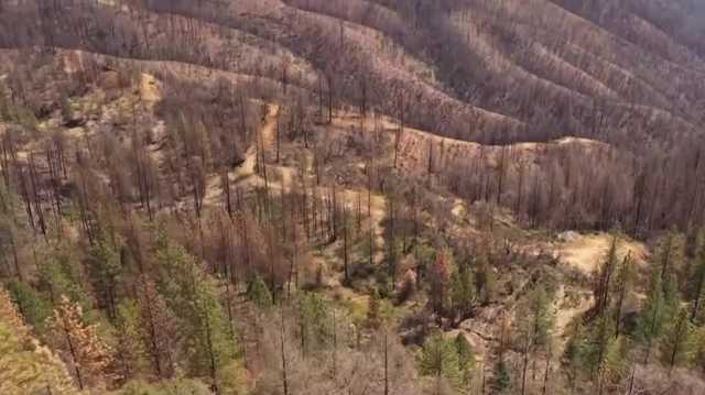 Foresthill community reflects 1 year after Mosquito Fire - Vimarsana News