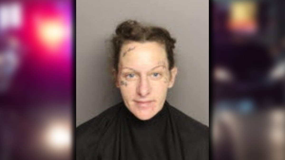 South Carolina woman accused of utilizing online sex ads to traffic minor
