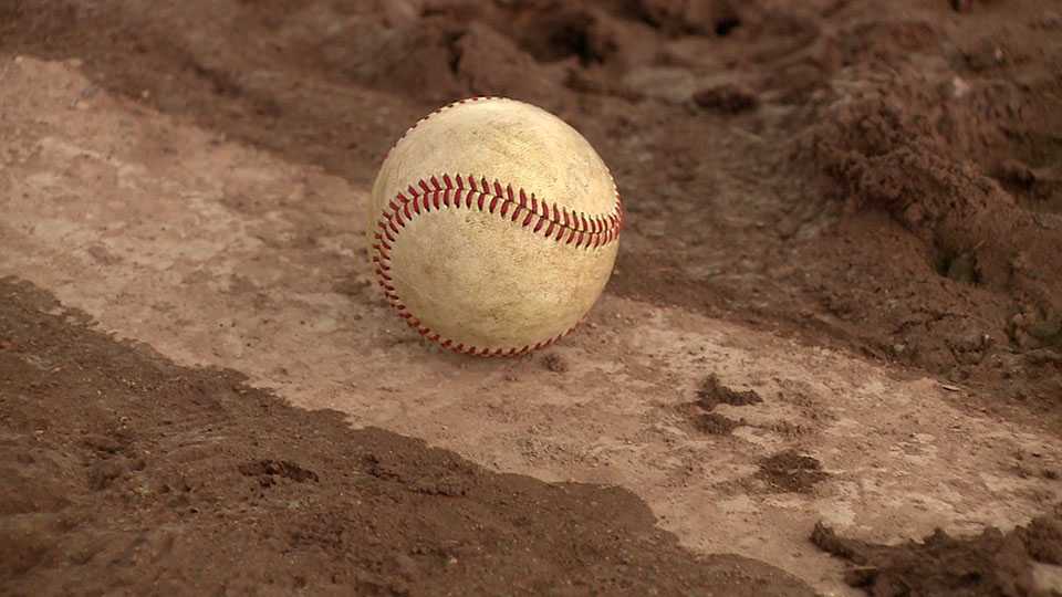 1880s Baseball Color Palette