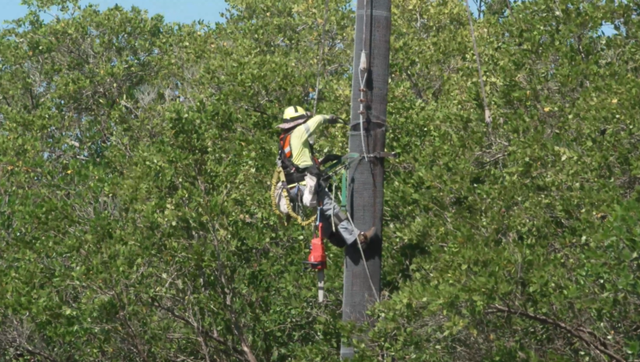 Florida Power & Light to seek $1.1 billion in Ian costs - Vimarsana News
