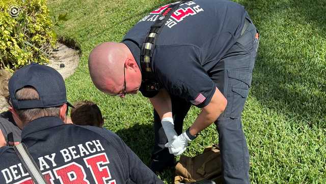 Child taken to hospital after shark bite in Florida - Vimarsana News