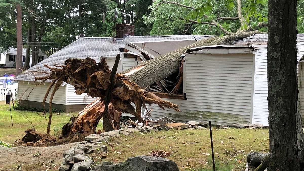 Woman rescued from Framingham home after tree falls on roof, traps her ...