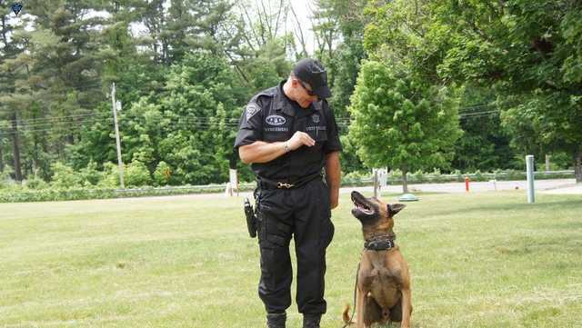 MSP mourn 'loyal, brave, beloved' K9 killed in armed standoff - Vimarsana News