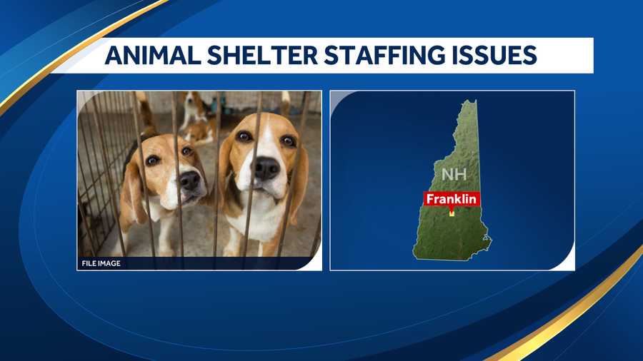 New Hampshire animal shelter closes because of staff shortage