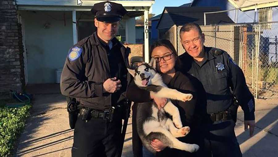 A Franklin woman has been reunited with her missing puppy, which was stolen from her front yard in late December, Sacramento police said on the department’s Facebook page. Jan. 14, 2017