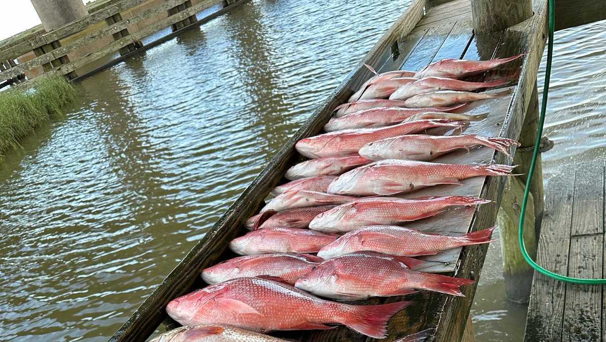 Louisiana Free Fishing weekend