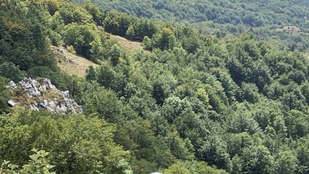 Maine Army National Guard soldier dies in fishing vessel that sank off Massachusetts coast