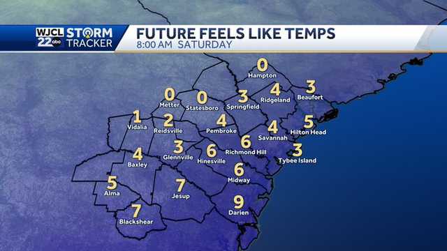 Savannah: Feels like temps set to fall to nearly zero degrees - Vimarsana News