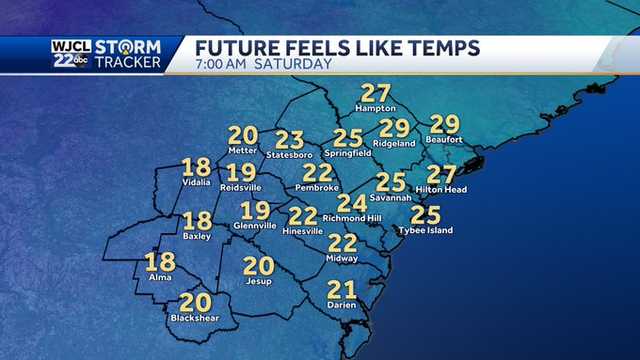 Savannah: Arctic cold to hit this weekend, temperatures tumble - Vimarsana News