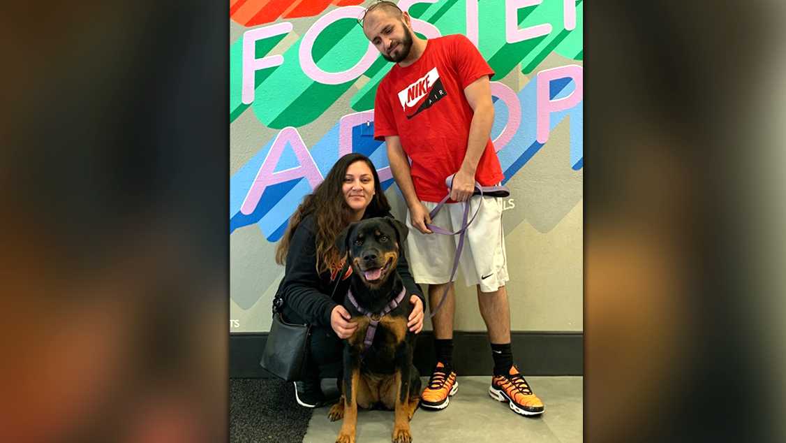 Dog reunited with Sacramento family after house fire