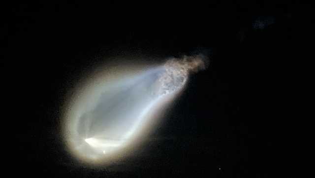 Space jellyfish: What is it? - Vimarsana News