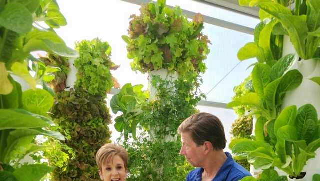 'GO LANIE': Vertical aeroponic farming in North Carolina - Vimarsana News