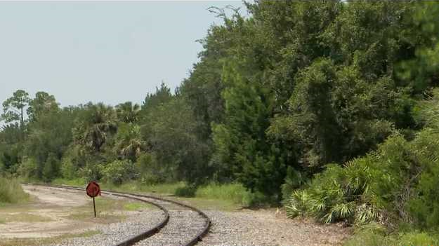Belvedere Terminals files lawsuit against Volusia County - Vimarsana News