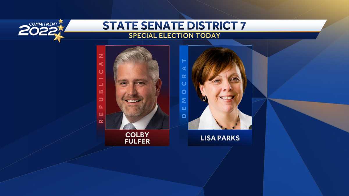 Arkansas' State Senate District 7 seat is up for grabs